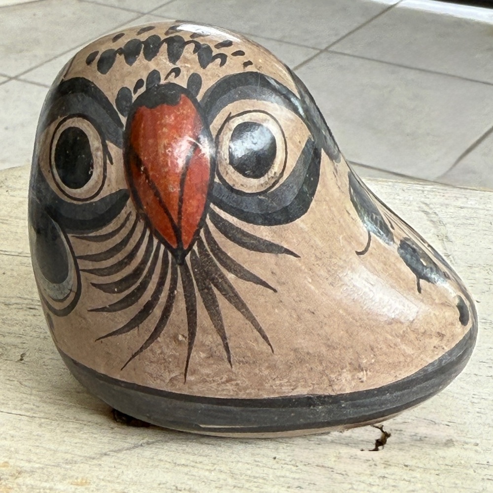 Tonala Mexico Small Owl